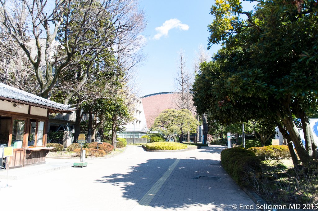 20150311_105050 D4S.jpg - Museum area, Tokyo